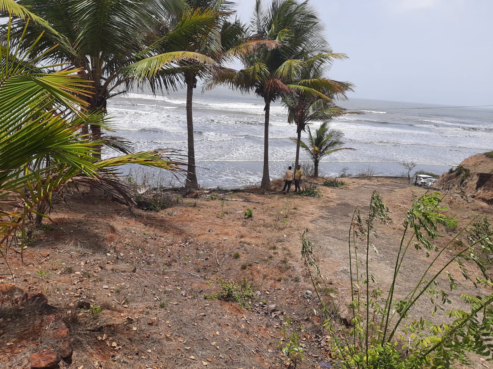Karde coastal land parcel and surrounding tree cover, Tal. Dapoli