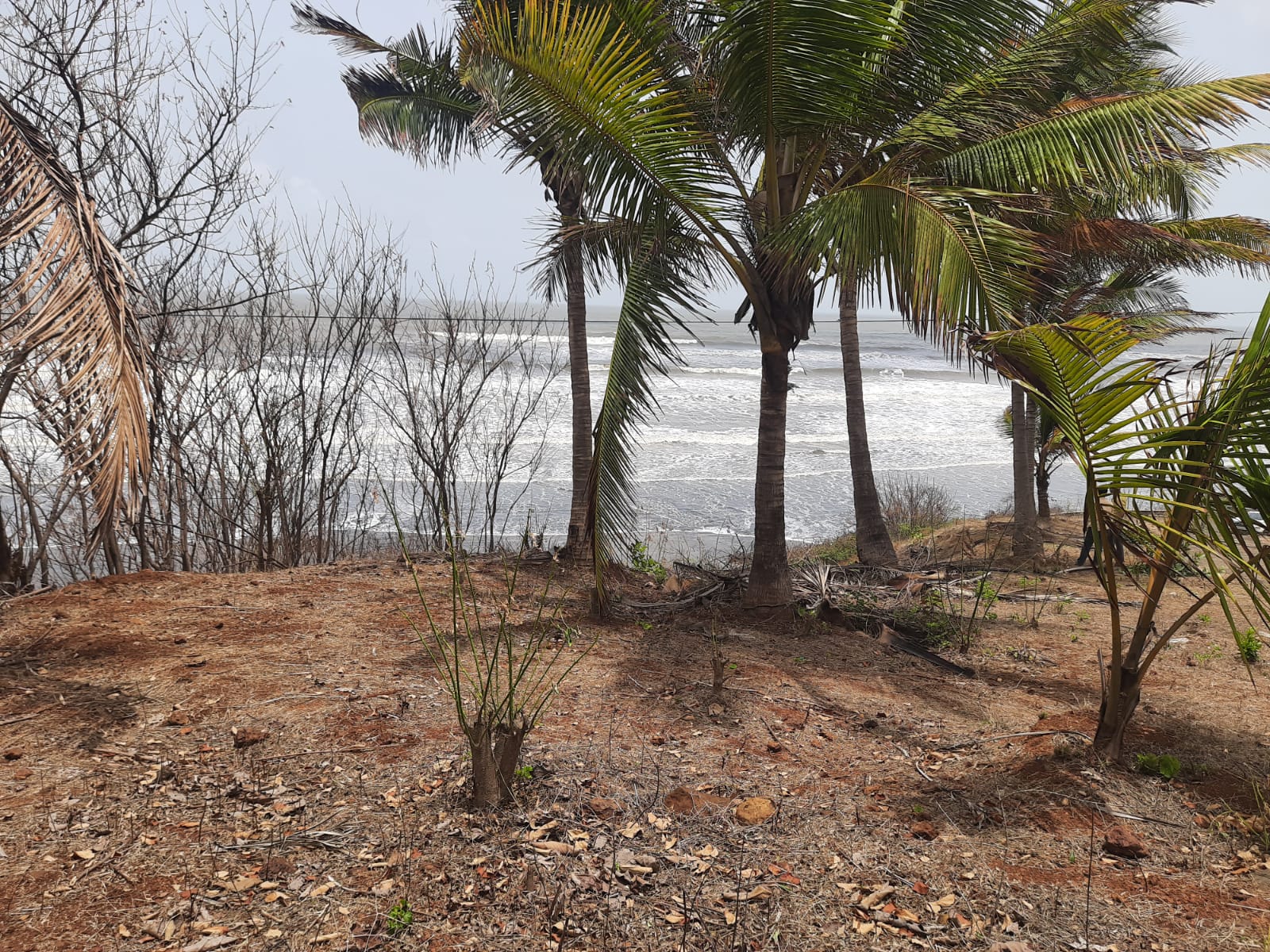 Landscape around the Karde coastal parcel in Tal. Dapoli