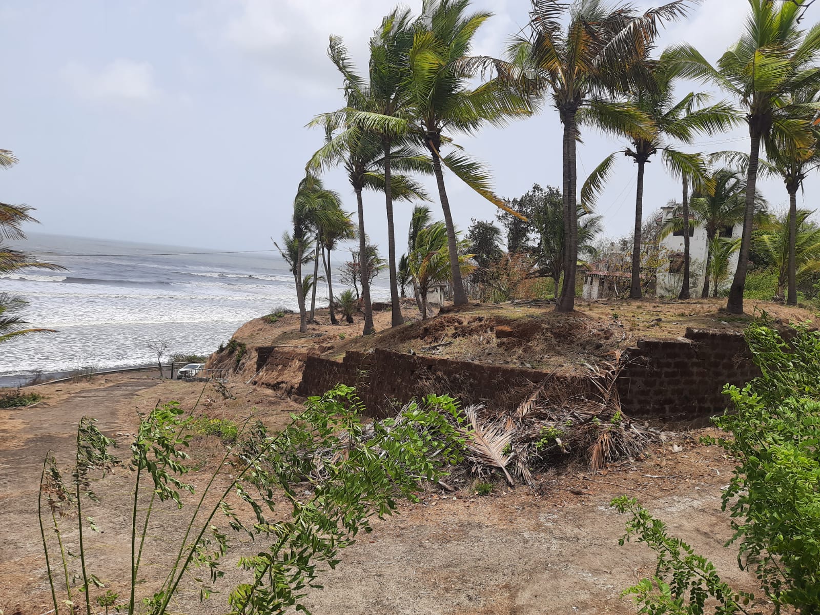 Site photograph of the Karde coastal parcel, Dapoli